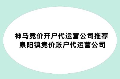 神马竞价开户代运营公司推荐 泉阳镇竞价账户代运营公司